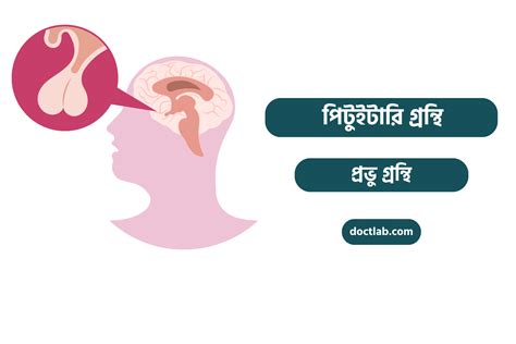 সেক্স কি কত প্রকার ও কী কী Doctlab