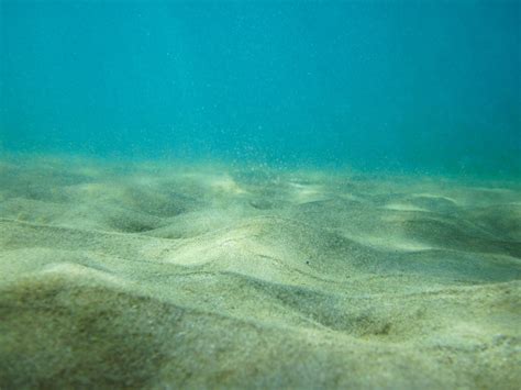 картинки : море, воды, песок, океан, волна, пол, влажный, Подводный ...