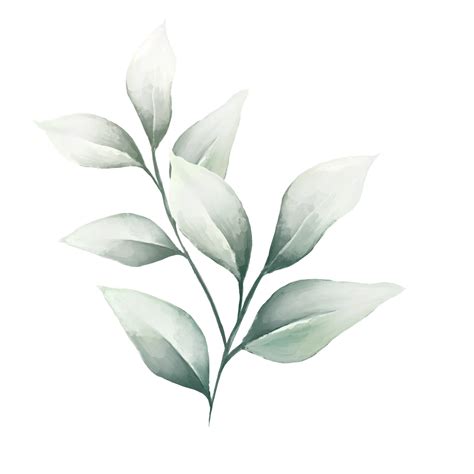 Watercolor Leaves Green 13812197 PNG