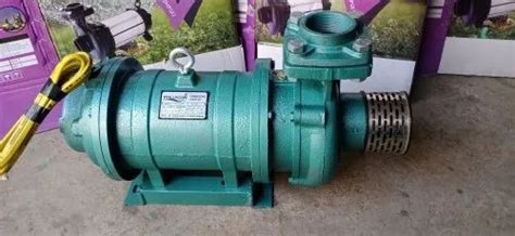 Three Phase V Hp Ci Body Body Open Well Pumps Discharge Outlet