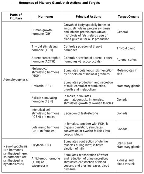 Pituitary Gland Hormones Chart