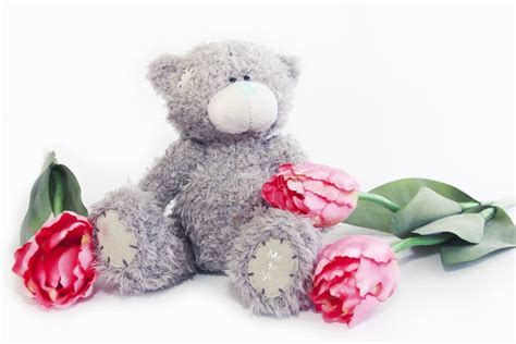 Soft Toy Teddy Bear With A Bouquet Of Pink Tulips For Valentine`s Day