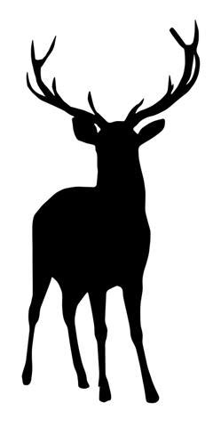 Buck Deer Silhouette Decal Sticker