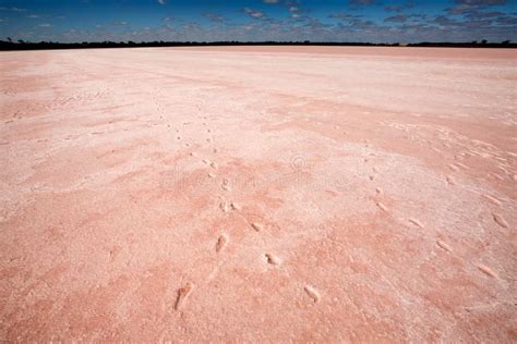 Pink Lake Victoria Australia Stock Image - Image of lochiel, bacteria ...