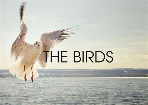 Symbolism In The Birds 1963 Story As Sexual Landscape