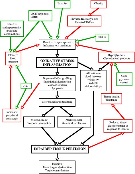 Impaired Tissue Perfusion Circulation