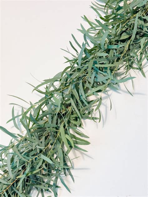 Shop Feather Eucalyptus Garland Wedding Garland Greenery Hello