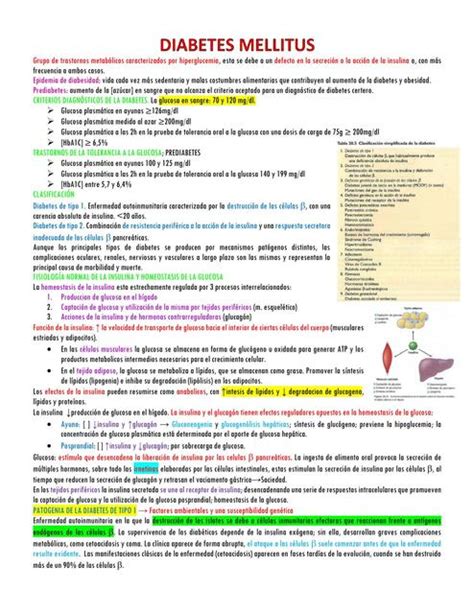 Diabetes Mellitus Rosario Rodriguez Frias Udocz