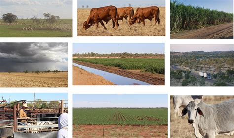 Action 12 Nov North AgForce Advancing Rural Queensland