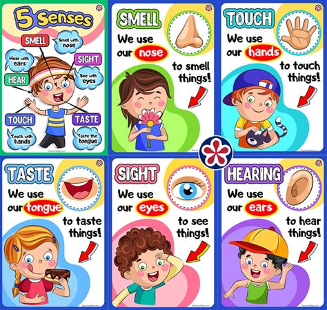 Printable Five Senses