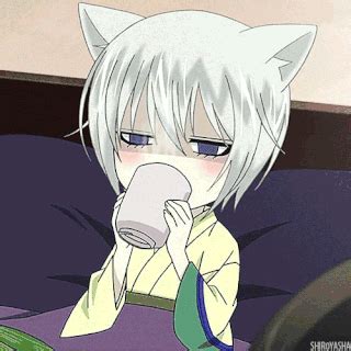 Tomoe el zorro mi amigo adoptado Wiki Nekopara Amino En Español Amino