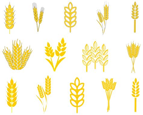 Wheat Svg Wheat Svg Bundle Wheat Clipart Wheat Cut File Wheat