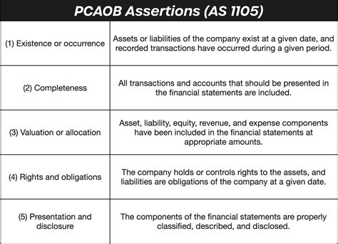 Audit Assertions With Examples