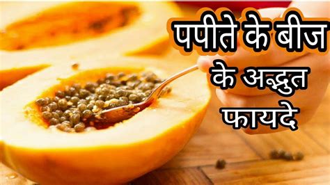 पपीते के बीज खाने के फायदे।। पपीते के बीज सोने से महंगे।। Papaya Seeds