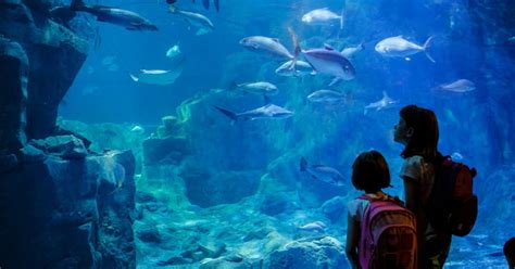 Paris: Aquarium de Paris Entrance Ticket | GetYourGuide