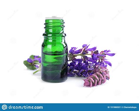 Botella De Aceite Esencial Herbario Y De Flores Sabias Aislados Imagen