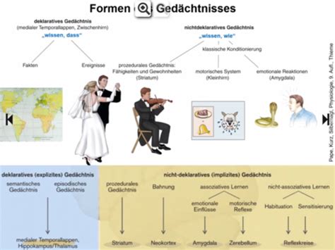 Ged Chtnis Und Lernen Flashcards Quizlet