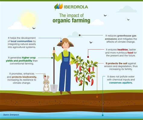 Ecological Techniques 【 Organic Agriculture 】Benefits of organic food - Complete Gardering