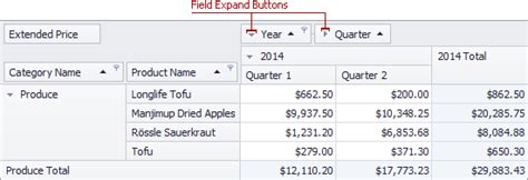 Expand And Collapse Groups In Pivot Tables Devexpress End User