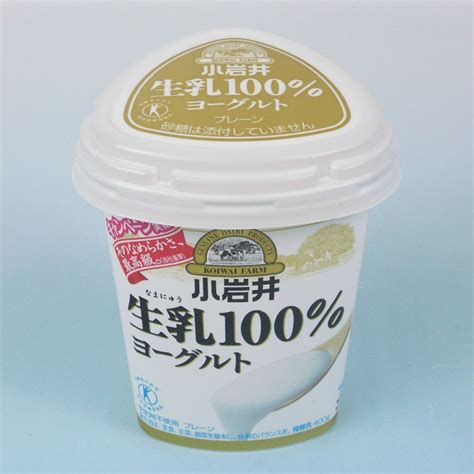 小岩井 生乳100％ヨーグルト プレーン 400g 一般食品乳製品ヨーグルト・プリン Amity Every E Shop