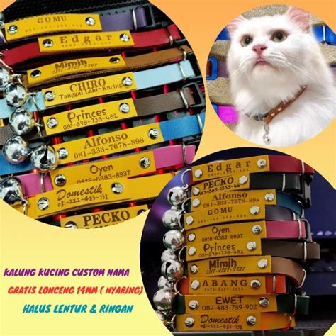 Jual Kalung Kucing Nama Free Custom Bahan Kulit Shopee Indonesia