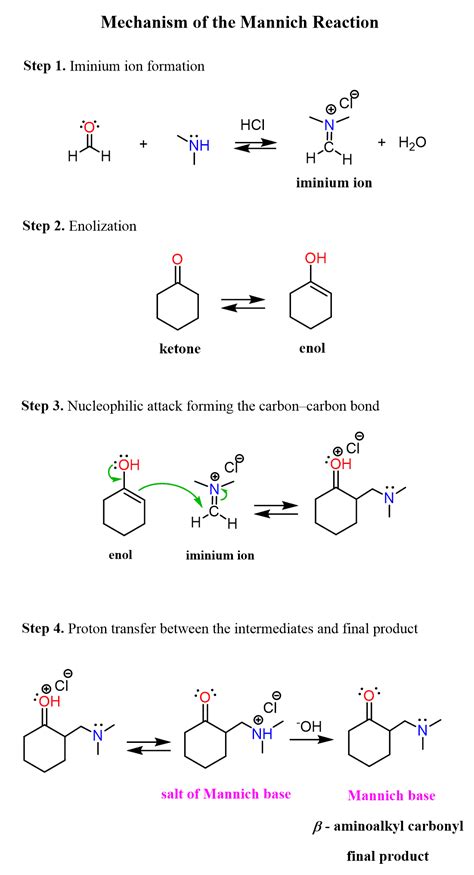 Mannich Reaction - Chemistry Steps