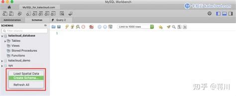 MySQL Workbench 使用教程 如何使用 Workbench 操作 MySQL MariaDB 数据库中文指南