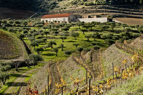 Wineries In Douro You Need To Visit Blog Portugal Travel Center