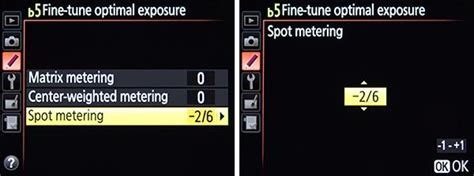 Tips And Tricks For The Nikon D7100 Part 2 Picturing Change Nikon