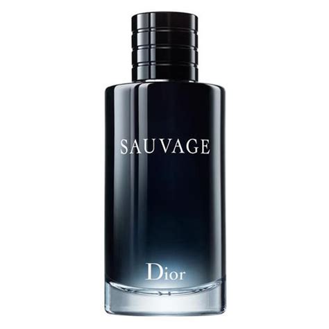 Sauvage Dior Perfume Masculino Eau De Toilette 200ml