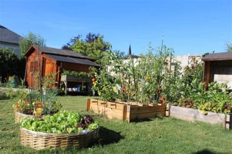 Carré potager L Univers des jardins