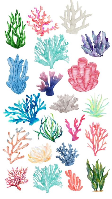 Pin By Pamela Naiara On Imagens Fant Sticas Coral Art Coral Drawing