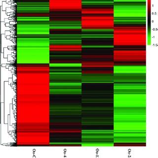 Heatmap Analysis Of Hierarchical Clustering Of Degs At Four Time