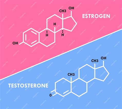 Símbolo De Hormônios Estrogênio E Testosterona Fórmula Molecular De