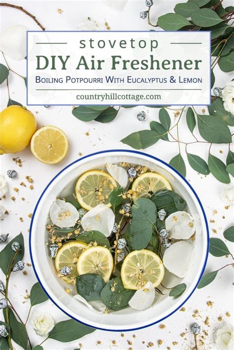 Stovetop Air Freshener With Eucalyptus And Lemon Artofit