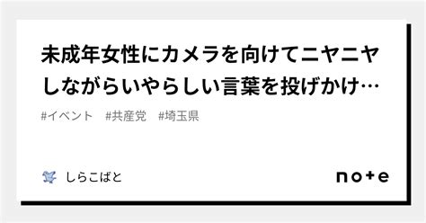 未成年女性にカメラを向けてニヤニヤしながらいやらしい言葉を投げかける気持ち悪いおじさん達｜しらこばと