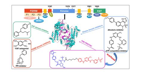 Progress In The Development Of Small Molecular Inhibitors Of Focal