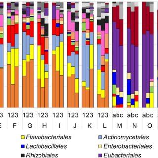 Order Level Composition Of The Bacterial Communities Associated With