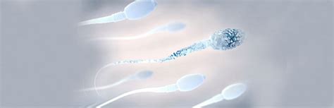 What Are The Signs Of Unhealthy Sperm Shree Ivf Clinic