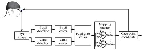 Applied Sciences Free Full Text 2D Gaze Estimation Based On Pupil