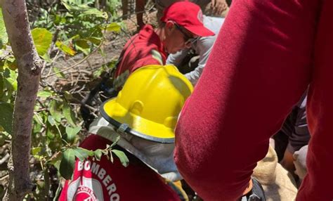 Sobrevive Hombre Tras Caerle árbol Encima En Mascota