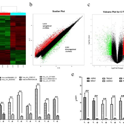 Circrna Expression Profile In The Cocultured Group Group T Relative