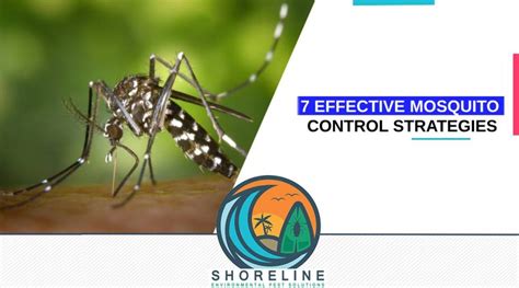 7 Effective Mosquito Control Strategies For A Bite Free Summer Shoreline Environmental Pest