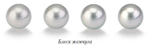 ЖЕМЧУГ