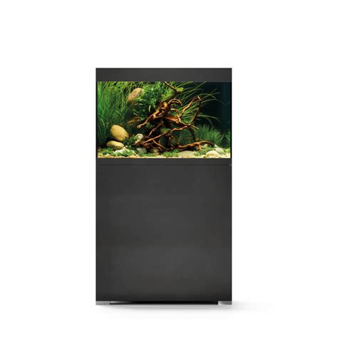 Ensemble Aquarium Oase StyleLine 125 Aquarium Meuble Noir