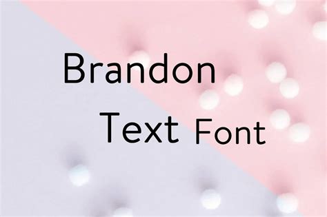 Brandon Text Font Free Download