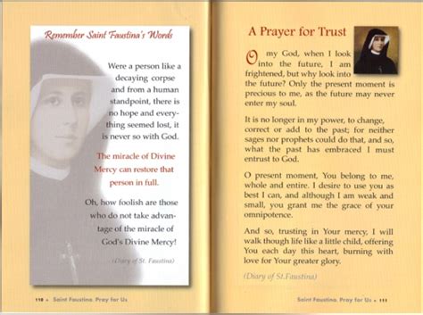 Divine Mercy Shop St Faustina Passport To Heaven