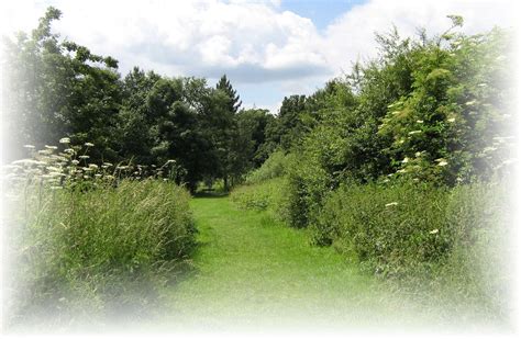 Gatley Carrs Signpost Stockport For Carers