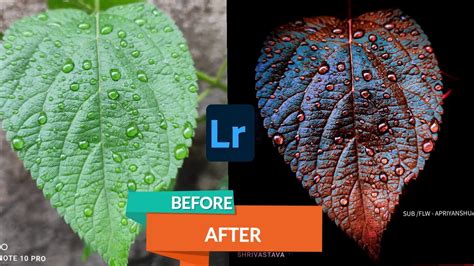 Lightroom Colour Grading Lightroom Photo Editing Mobile