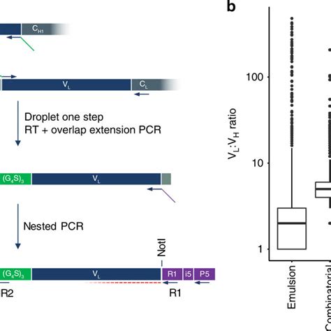 Phage Display Enrichment For Antigen Specific Antibodies Emulsion Download Scientific Diagram